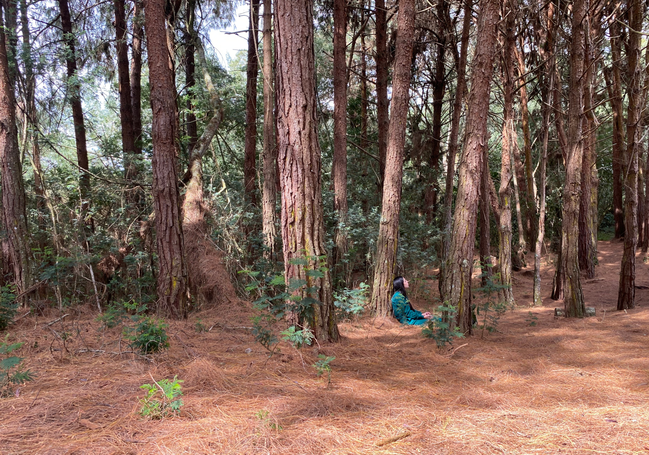 Una mujer sentada en medio de un bosque denso y verde, con los ojos cerrados y una expresión de paz. La luz del sol se filtra suavemente a través del follaje alto; mientras ella respira profundamente, rodeada de los troncos de árboles antiguos.