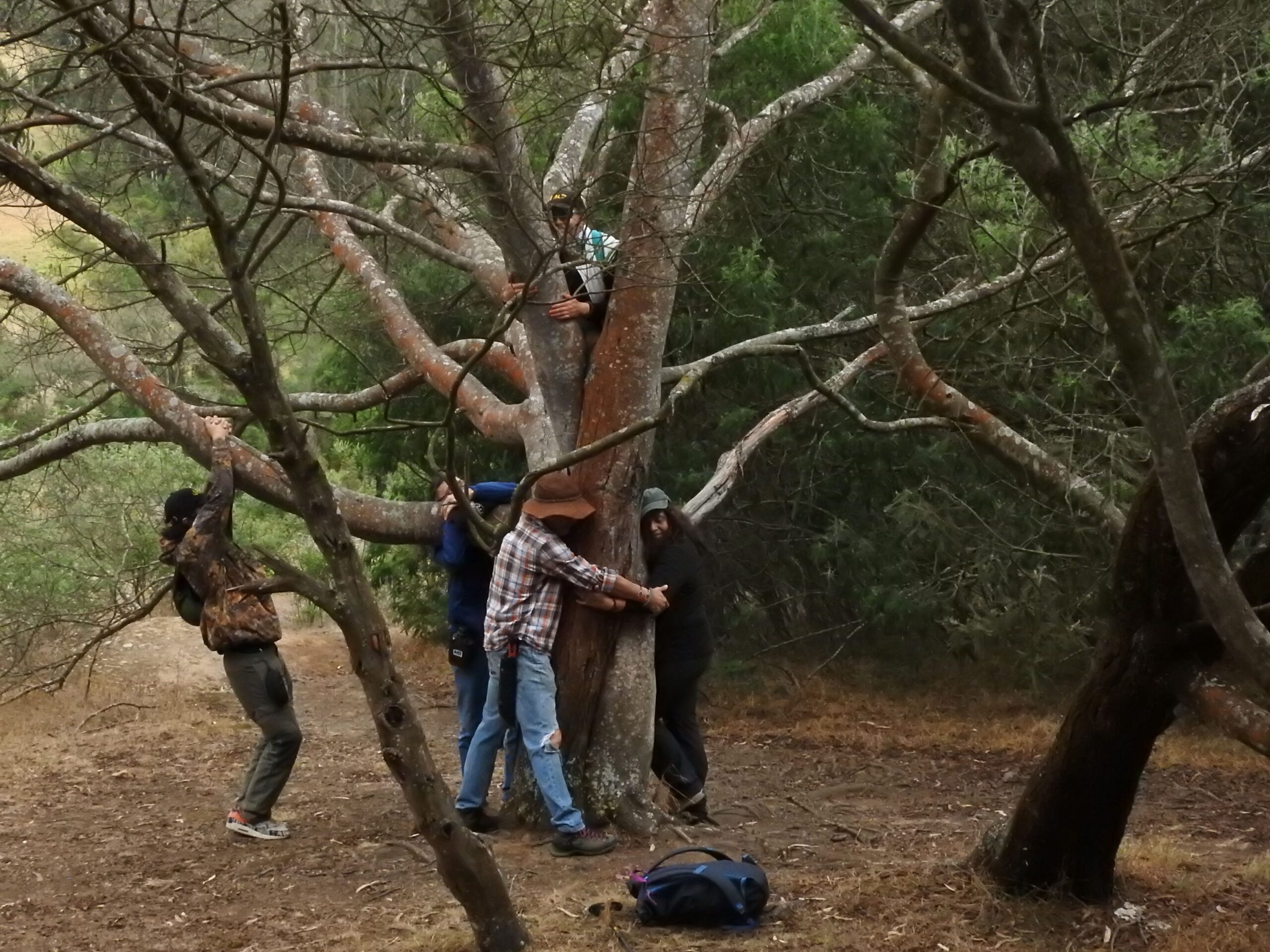 Grupo de personas abrazando un árbol en bosque andino durante experiencia de Conexión Muisca y bienestar natural cerca de Bogotá.