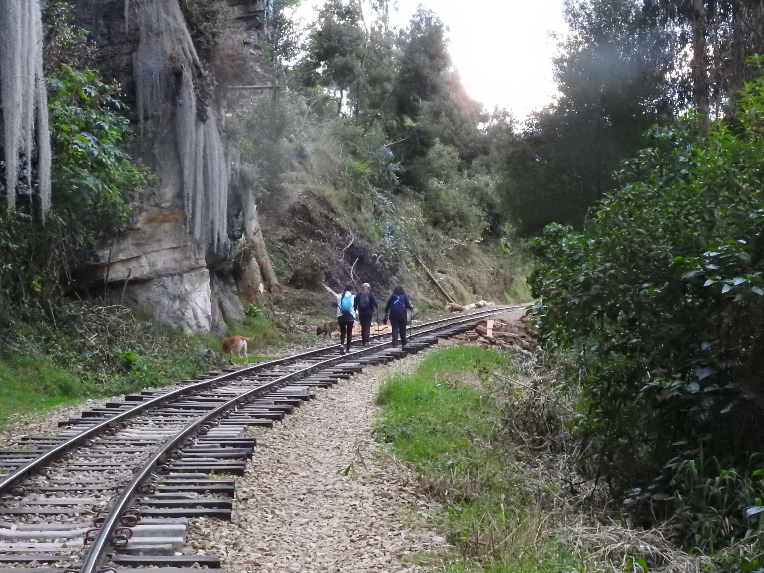 Grupo de personas caminando por vía férrea en entorno natural durante experiencia de Conexión Muisca cerca de Bogotá.
