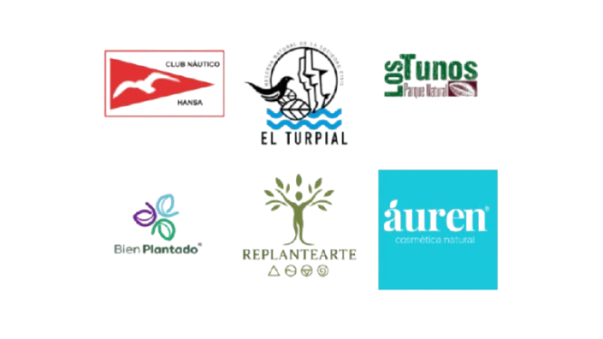 Red de aliados estratégicos de 5Elementos: colaboración de marcas y proyectos comprometidos con la sostenibilidad, la espiritualidad natural y el bienestar integral.